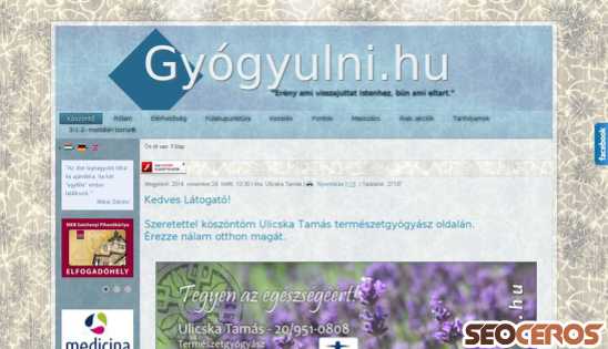 gyogyulni.hu desktop förhandsvisning