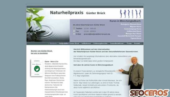 heilpraxis-brueck.de desktop náhled obrázku