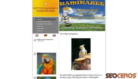 kamikazee.hu desktop előnézeti kép
