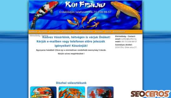 koifish.hu desktop előnézeti kép