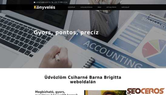 konyvelo-konyvvizsgalat.hu desktop előnézeti kép