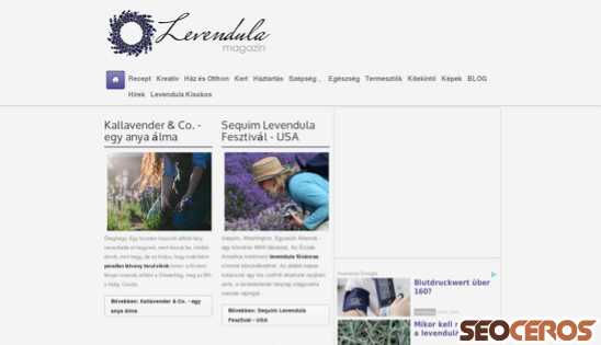 levendulamagazin.hu desktop előnézeti kép