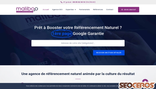 maliboo-referencement.fr desktop náhľad obrázku
