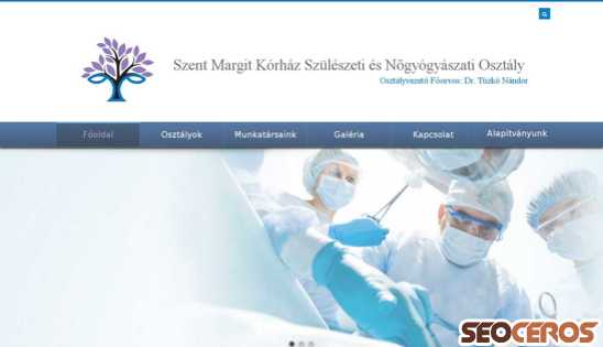 margit-szuleszet.hu desktop előnézeti kép