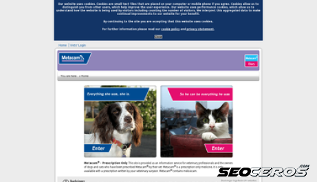 animalsinpain.co.uk desktop Vorschau