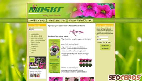 noske.hu desktop Vorschau