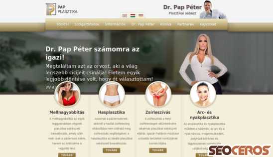 pap-plasztika.hu desktop náhled obrázku
