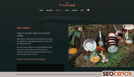 pavoni1920.com/why-copper-pots desktop obraz podglądowy
