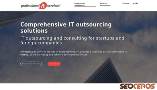professional-it-services.com desktop náhled obrázku