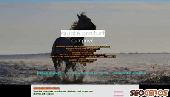 quinteproturf.com desktop vista previa