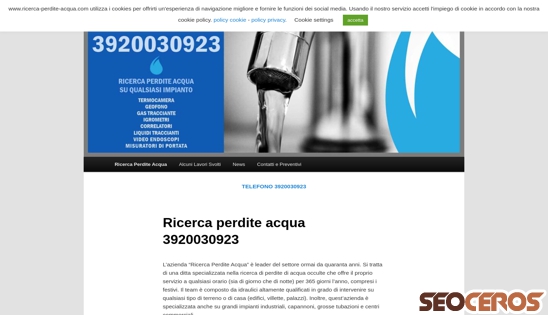 ricerca-perdite-acqua.com desktop náhled obrázku
