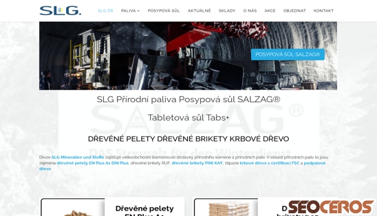 salzag.cz desktop förhandsvisning