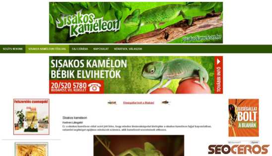 sisakoskameleon.hu desktop náhľad obrázku