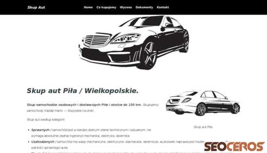 skup-aut-samochodow-pila.pl desktop 미리보기