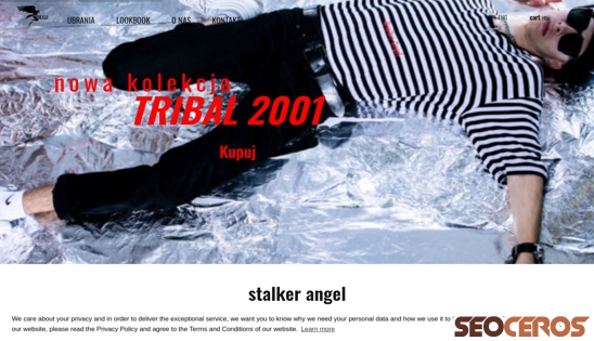 stalkerangel.com desktop előnézeti kép
