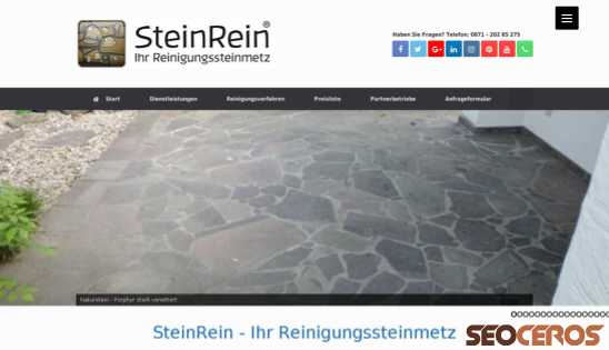steinrein.com desktop preview