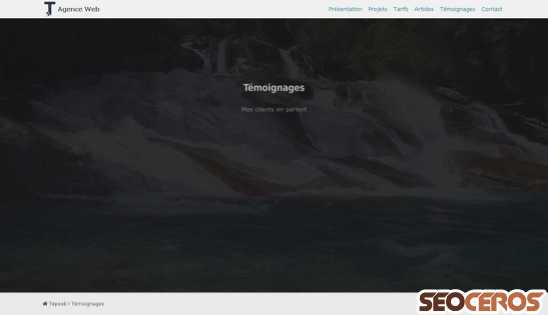 tepeek.com/avis-temoignages-concepteur-web desktop obraz podglądowy