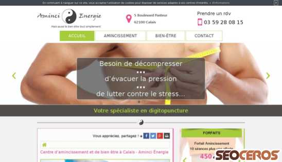 therapie-minceur-calais.fr desktop náhled obrázku