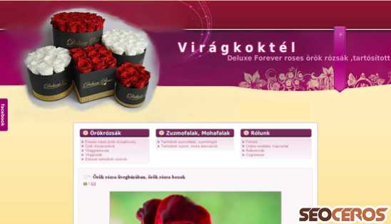 viragkoktel.hu desktop náhľad obrázku