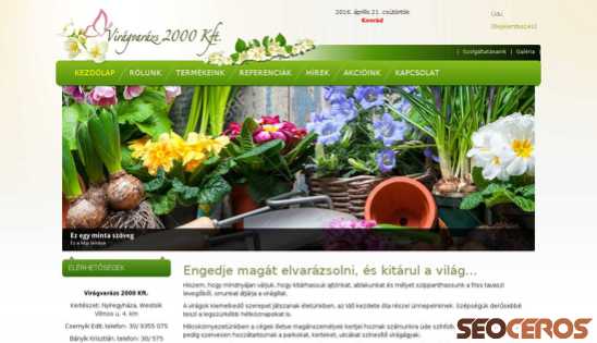 viragvarazs2000.hu desktop előnézeti kép