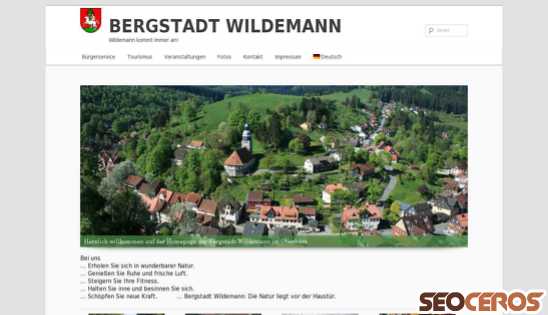 wildemann.de desktop előnézeti kép