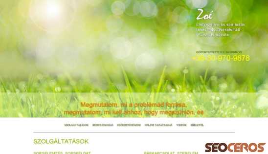 zoeweb.hu desktop előnézeti kép