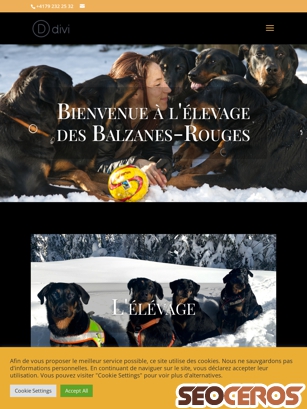 balzanes-rouges.ch tablet preview