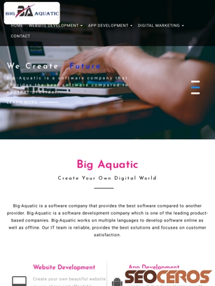 big-aquatic.co.in tablet Vorschau