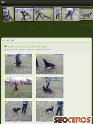 borsod-dogsport.info tablet preview