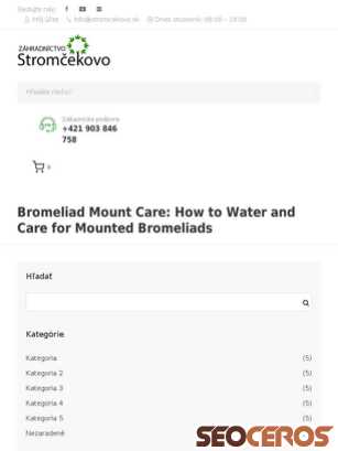 dev.stromcekovo.sk/bromeliad-mount-care-how-to-water-and-care-for-mounted-bromeliads-6 tablet náhľad obrázku