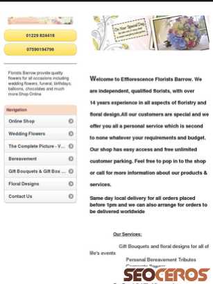 efflorescence.co.uk tablet förhandsvisning