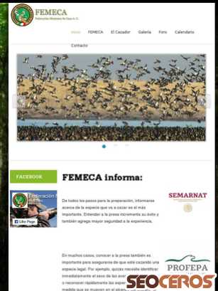 femeca.com tablet vista previa