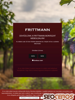 frittmann.hu tablet előnézeti kép