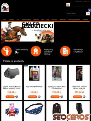 hubertuskielce.pl tablet prikaz slike