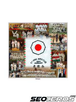 judoclubajka.hu tablet Vista previa