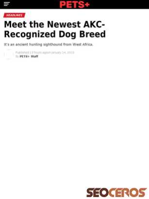 petsplusmag.com/meet-the-newest-akc-recognized-dog-breed tablet obraz podglądowy