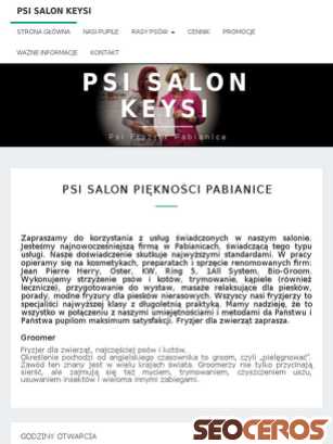 psisalonkeysi.pl tablet förhandsvisning