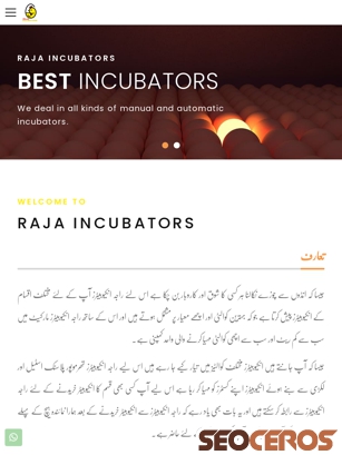 rajaincubators.com tablet vista previa