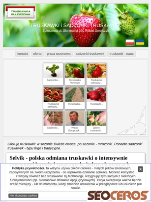 truskawka-suloszowa.pl tablet vista previa