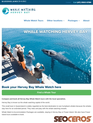 whalewatchingherveybay.com.au tablet obraz podglądowy