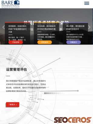 bareinternational.com.cn tablet náhľad obrázku