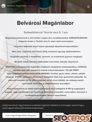 belvarosi-maganlabor.hu tablet obraz podglądowy