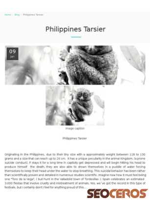 big-honcho.com/blog/philippines-tarsier tablet Vorschau