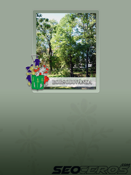 borsodivanka.hu tablet előnézeti kép