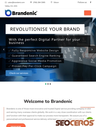 brandenic.com tablet preview