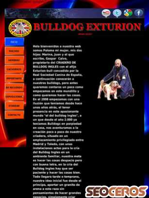 bulldogexturion.com tablet Vista previa