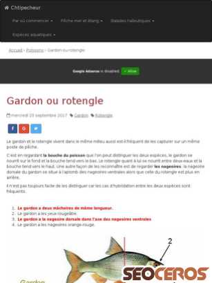chtipecheur.com/post/Gardon-ou-rotengle-1265 tablet preview