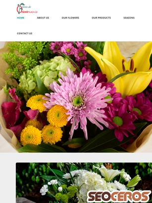 floresdeoriente.com tablet prikaz slike