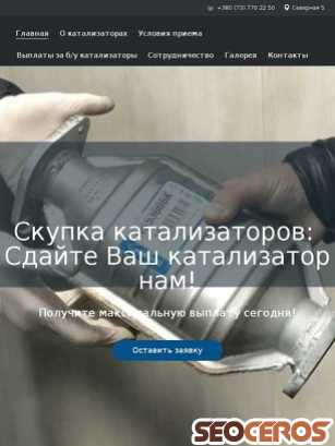 skupka-katalizatorov.org.ua tablet Vista previa