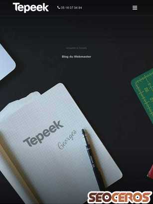 tepeek.com/articles-agence-web tablet förhandsvisning